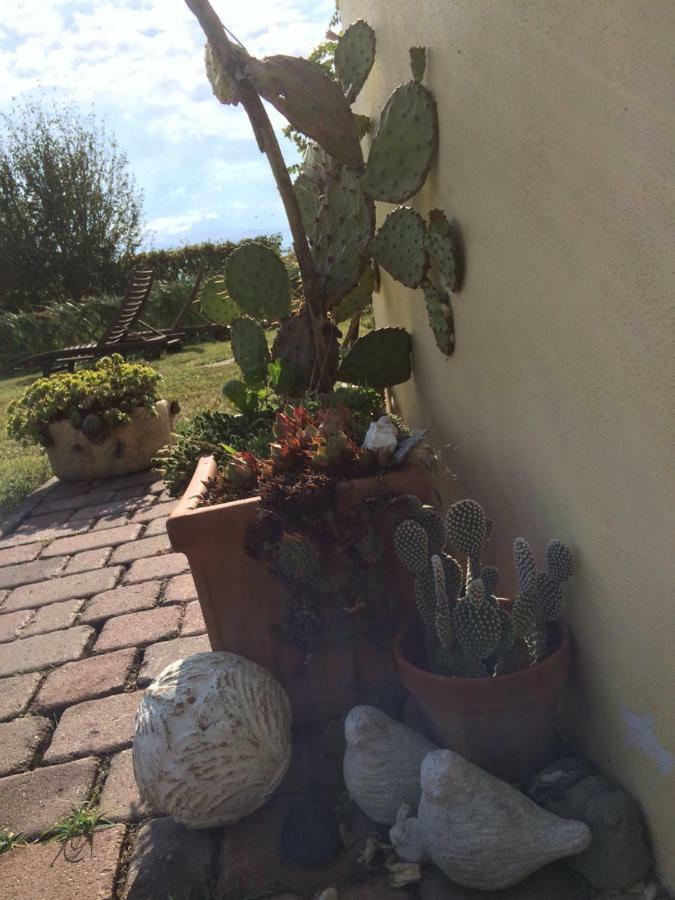 Il Giardino B&B Castelvetro di Modena Eksteriør bilde