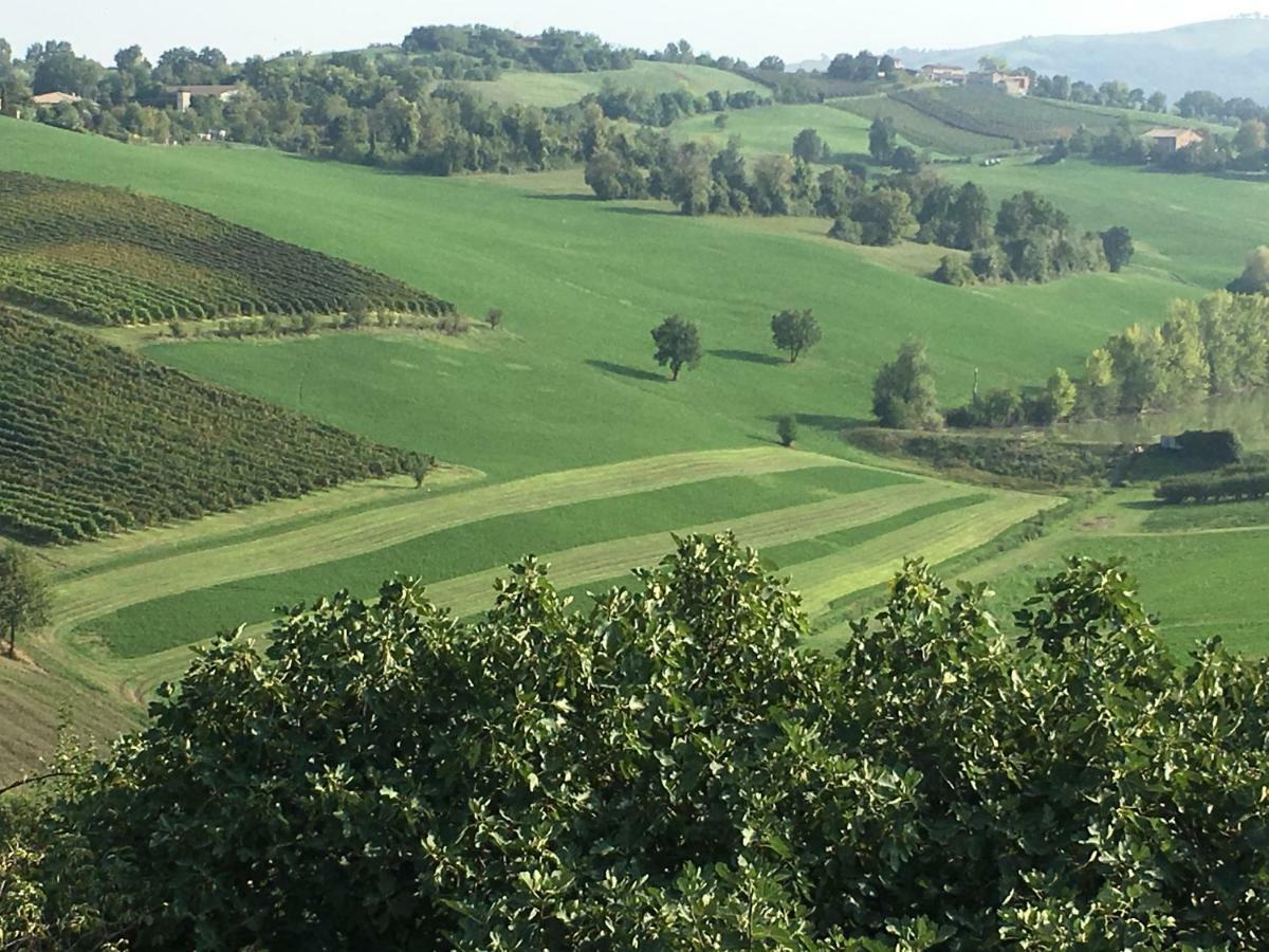 Il Giardino B&B Castelvetro di Modena Eksteriør bilde